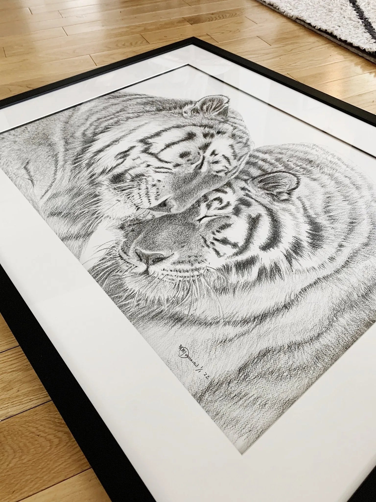  Tigers - Amur Tigers illustration - collaboration with  La Fondation du Zoo de Granby LE NID atelier illustration art-noise.myshopify.com tigers-amur-tigers-illustration-collaboration-with-la-fondation-du-zoo-de-granby