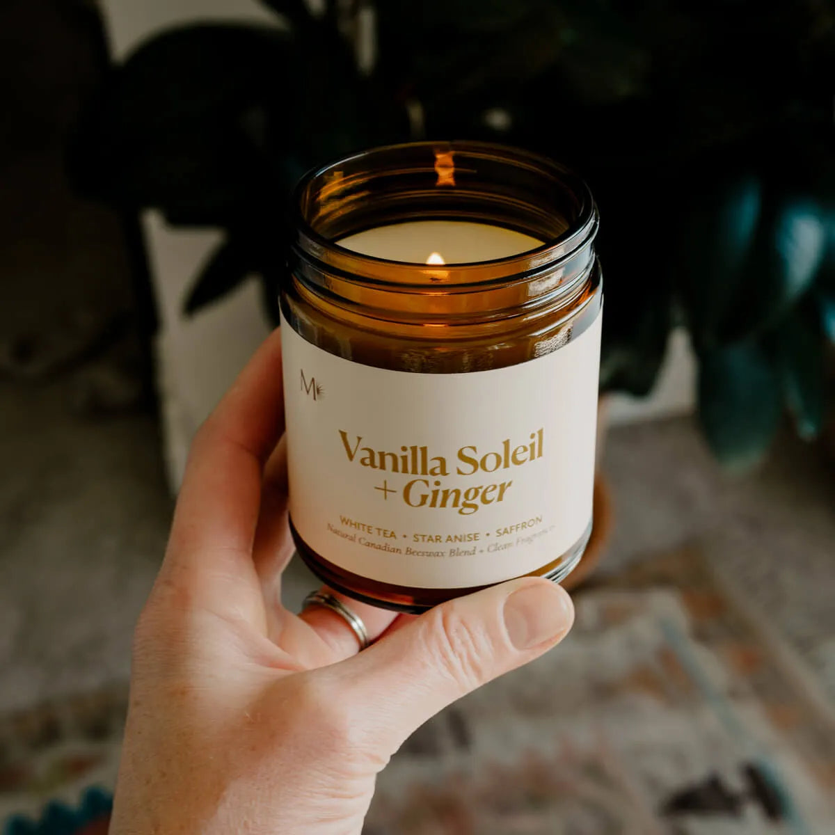  Vanilla Soleil + Ginger Candle Jar Misiyo Candle Co Candles art-noise.myshopify.com vanilla-soleil-ginger-candle-jar