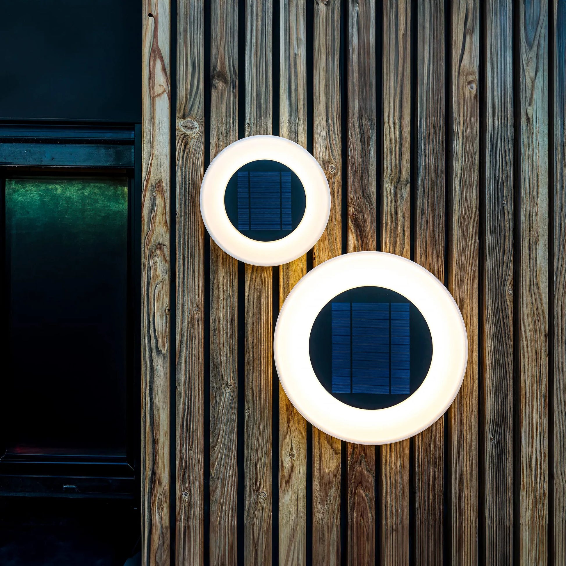 Wally Nüline Distribution Night Lights & Ambient Lighting art-noise.myshopify.com wally Wally Nüline Distribution Night Lights & Ambient Lighting art-noise.myshopify.com wally