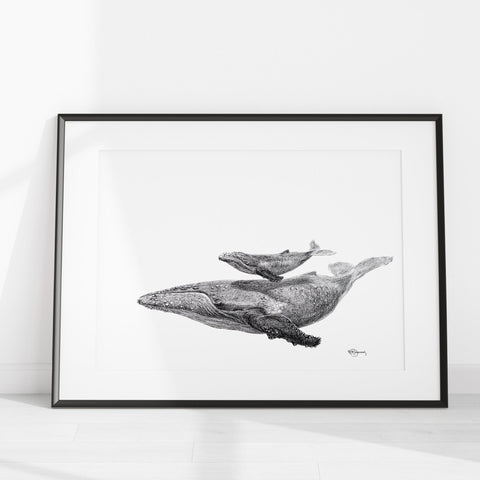 Whale with calf - illustration
