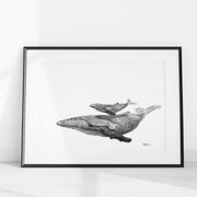Whale with calf - illustration LE NID atelier illustration art-noise.myshopify.com whale-with-calf-illustration Whale with calf - illustration LE NID atelier illustration art-noise.myshopify.com whale-with-calf-illustration