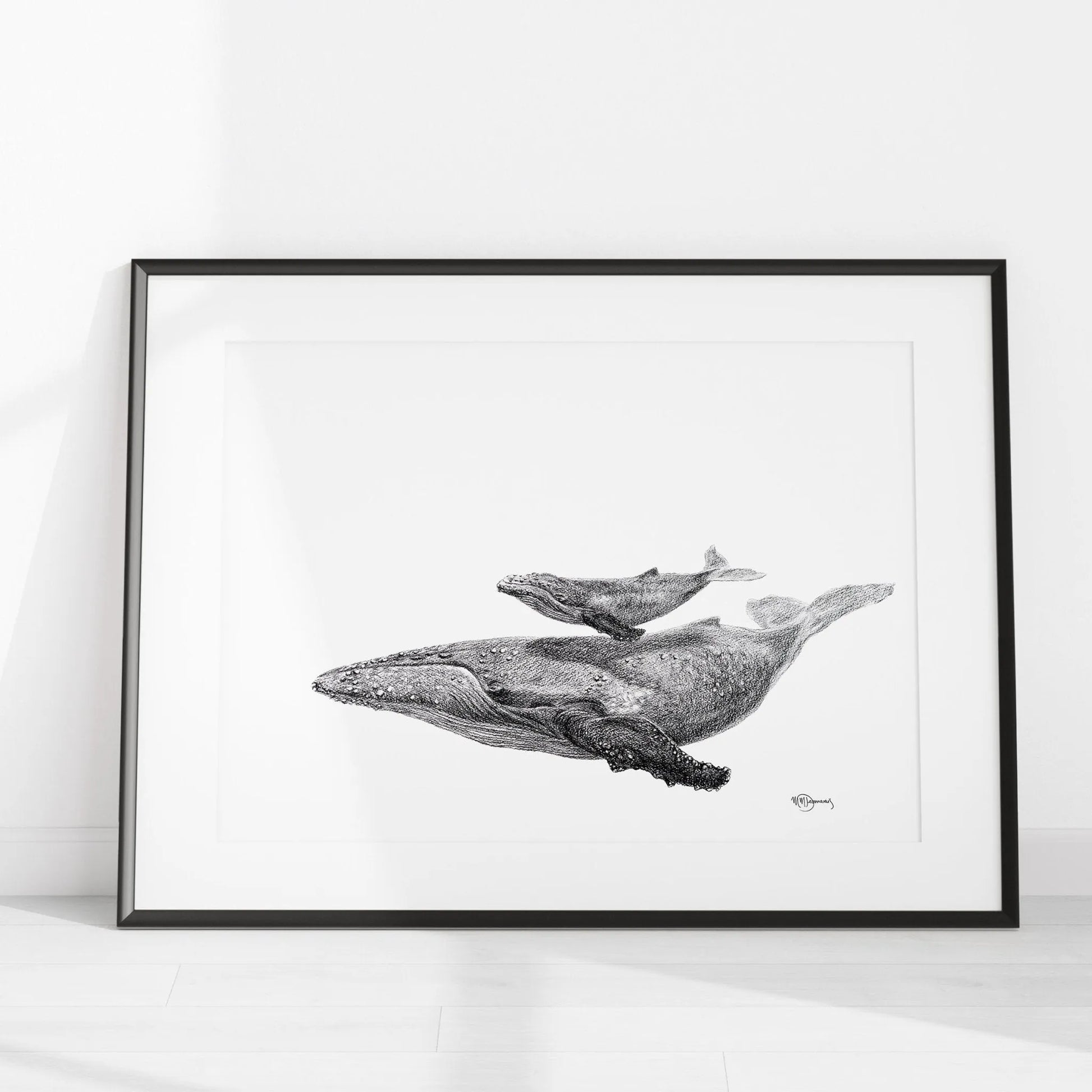 Whale with calf - illustration LE NID atelier illustration art-noise.myshopify.com whale-with-calf-illustration Whale with calf - illustration LE NID atelier illustration art-noise.myshopify.com whale-with-calf-illustration