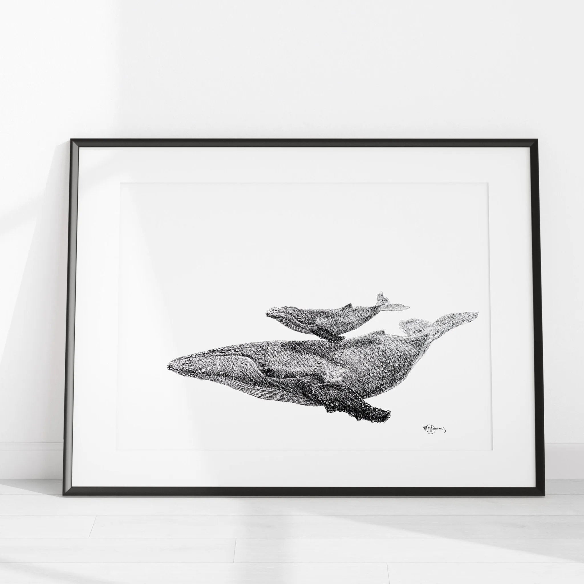 Whale with calf - illustration LE NID atelier illustration art-noise.myshopify.com whale-with-calf-illustration Whale with calf - illustration LE NID atelier illustration art-noise.myshopify.com whale-with-calf-illustration