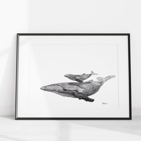 Whale with calf - illustration LE NID atelier illustration art-noise.myshopify.com whale-with-calf-illustration Whale with calf - illustration LE NID atelier illustration art-noise.myshopify.com whale-with-calf-illustration