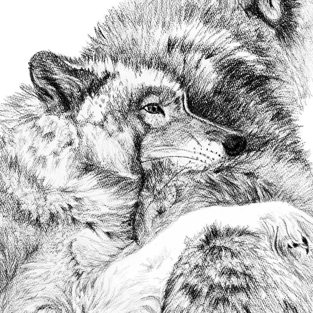 Wolf Cuddles LE NID atelier illustration art-noise.myshopify.com wolf-cuddles Wolf Cuddles LE NID atelier illustration art-noise.myshopify.com wolf-cuddles