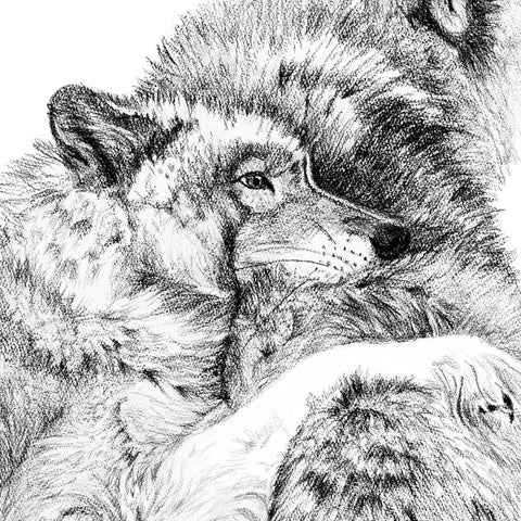 Wolf Cuddles LE NID atelier illustration art-noise.myshopify.com wolf-cuddles Wolf Cuddles LE NID atelier illustration art-noise.myshopify.com wolf-cuddles