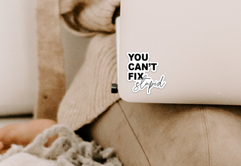 You can't fix stupid vinyl sticker Creativien Stickers art-noise.myshopify.com you-cant-fix-stupid-vinyl-sticker