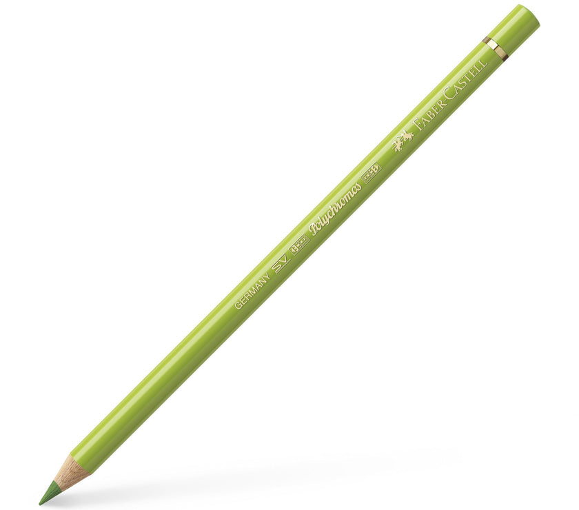 Faber-Castell - Polychromos - Individual Pencil - Greens and Turquoises - Art Noise