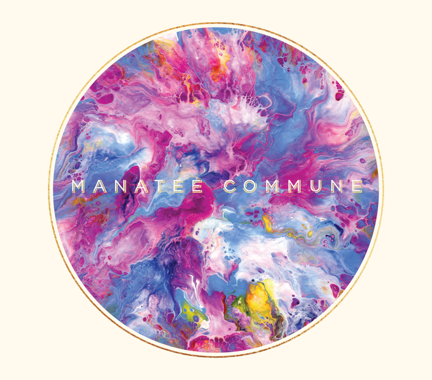 Manatee Commune - Manatee Commune (LP) - Art Noise