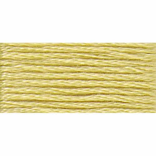 DMC Cotton Embroidery Floss - Light Earth Tones