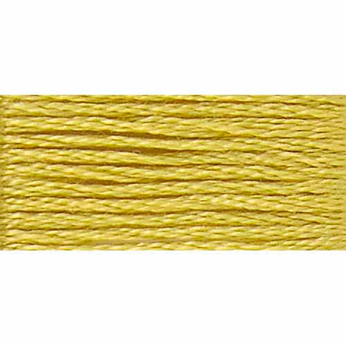 DMC Cotton Embroidery Floss - Light Earth Tones