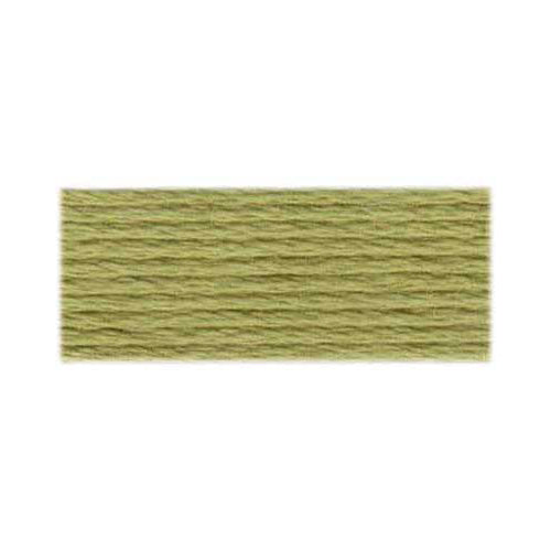 DMC Cotton Embroidery Floss - Light Earth Tones