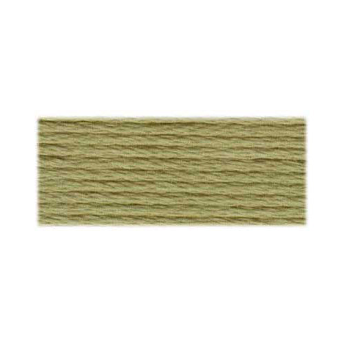 DMC Cotton Embroidery Floss - Light Earth Tones