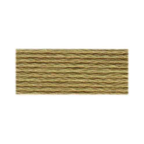 DMC Cotton Embroidery Floss - Light Earth Tones