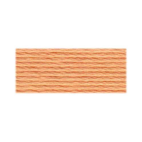 DMC Cotton Embroidery Floss - Orange - Art Noise