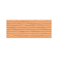 DMC Cotton Embroidery Floss - Orange - Art Noise