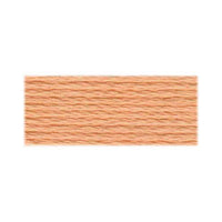 DMC Cotton Embroidery Floss - Orange - Art Noise