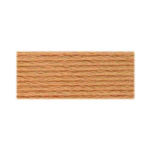 DMC Cotton Embroidery Floss - Light Earth Tones