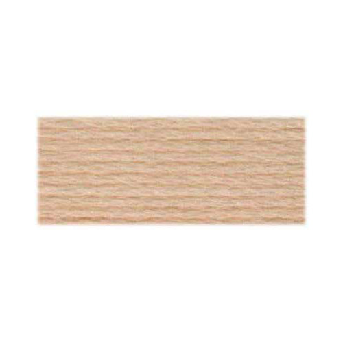 DMC Cotton Embroidery Floss - Light Earth Tones - Art Noise