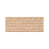 DMC Cotton Embroidery Floss - Light Earth Tones - Art Noise