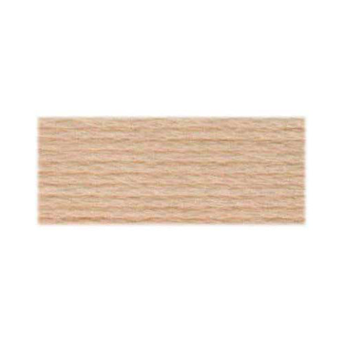 DMC Cotton Embroidery Floss - Light Earth Tones