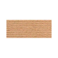 DMC Cotton Embroidery Floss - Light Earth Tones - Art Noise