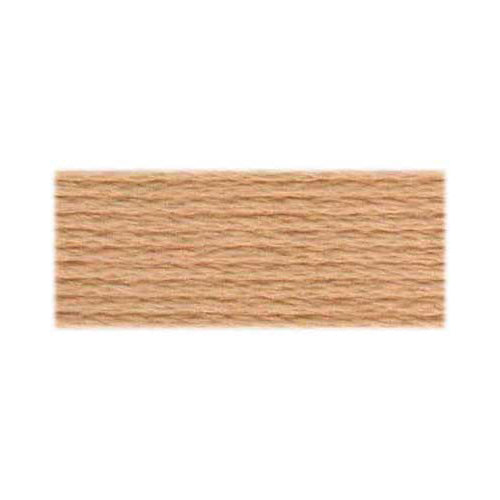 DMC Cotton Embroidery Floss - Light Earth Tones