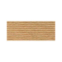 DMC Cotton Embroidery Floss - Light Earth Tones - Art Noise