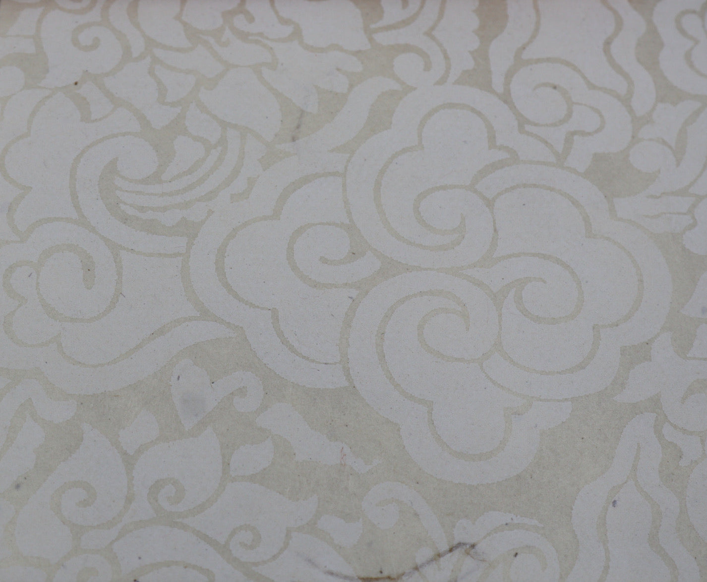 Tibetan Paper & Handicraft - Tibetan Lokta Paper - Pema Tingba Lotus Print - Art Noise
