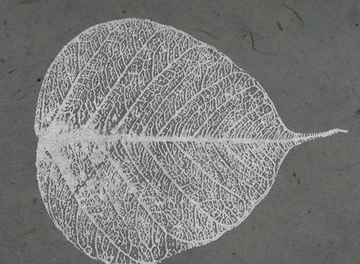 Tibetan Paper & Handicraft - Lokta Paper - Bodhi leaf - 20x30" - Art Noise Tibetan Paper & Handicraft - Lokta Paper - Bodhi leaf - 20x30" Tibetan Paper & Handicraft Paper Sheets art-noise.myshopify.com tibetan-paper-handicraft-lokta-paper-bodhi-leaf-20x30