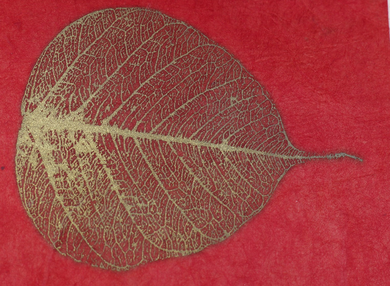 Tibetan Paper & Handicraft - Lokta Paper - Bodhi leaf - 20x30" - Art Noise Tibetan Paper & Handicraft - Lokta Paper - Bodhi leaf - 20x30" Tibetan Paper & Handicraft Paper Sheets art-noise.myshopify.com tibetan-paper-handicraft-lokta-paper-bodhi-leaf-20x30