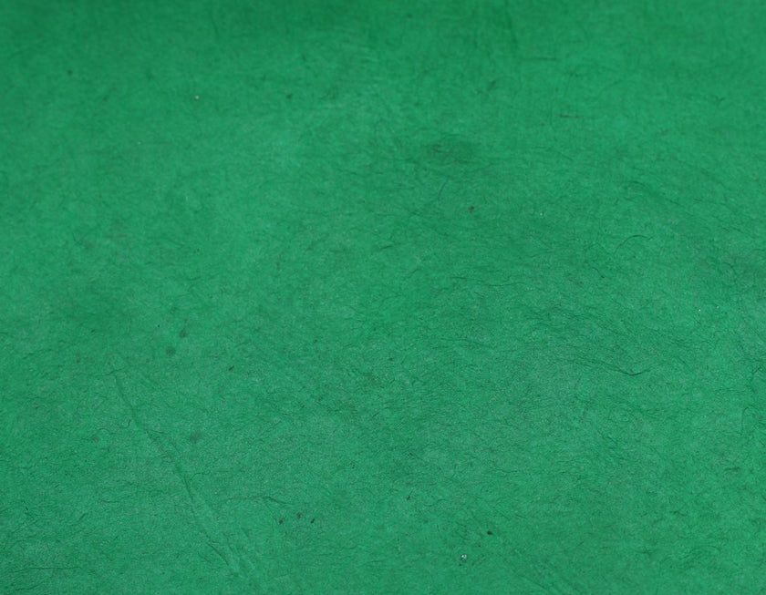 Tibetan Paper & Handicraft - Himalayan Lokta Paper - Vegetable Solid - 20x30" - Art Noise