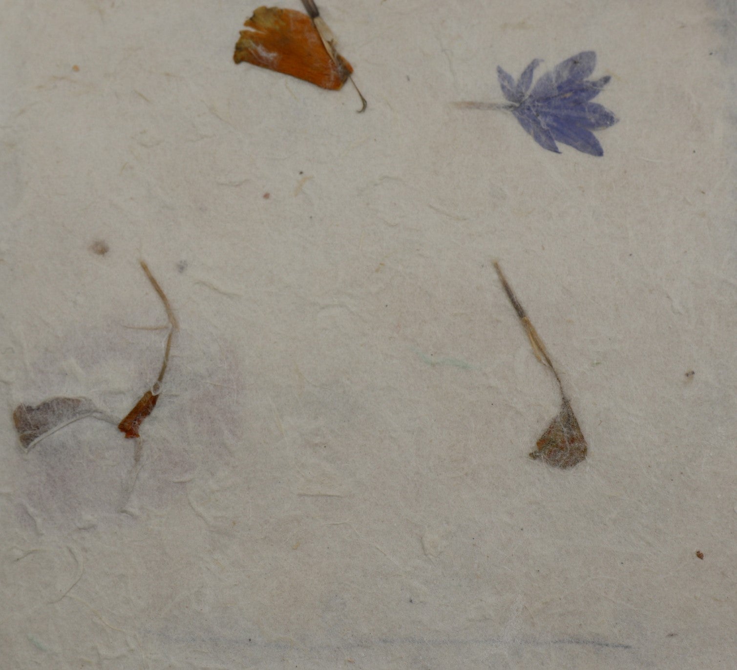 Tibetan Paper & Handicraft - Lokta Paper - Flower/Seeds - 20x30" - Art Noise Tibetan Paper & Handicraft - Lokta Paper - Flower/Seeds - 20x30" Tibetan Paper & Handicraft Paper Sheets art-noise.myshopify.com tibetan-paper-handicraft-lokta-paper-flower-seeds-20x30