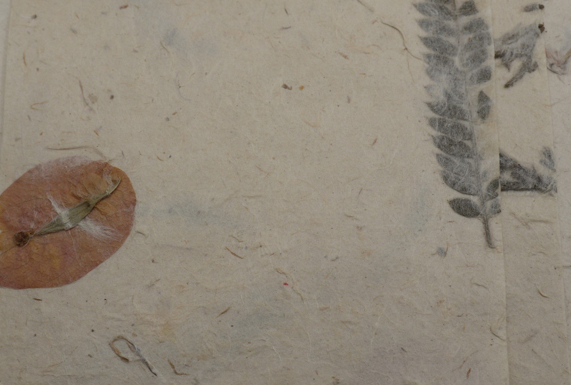 Tibetan Paper & Handicraft - Lokta Paper - Flower/Seeds - 20x30" - Art Noise Tibetan Paper & Handicraft - Lokta Paper - Flower/Seeds - 20x30" Tibetan Paper & Handicraft Paper Sheets art-noise.myshopify.com tibetan-paper-handicraft-lokta-paper-flower-seeds-20x30