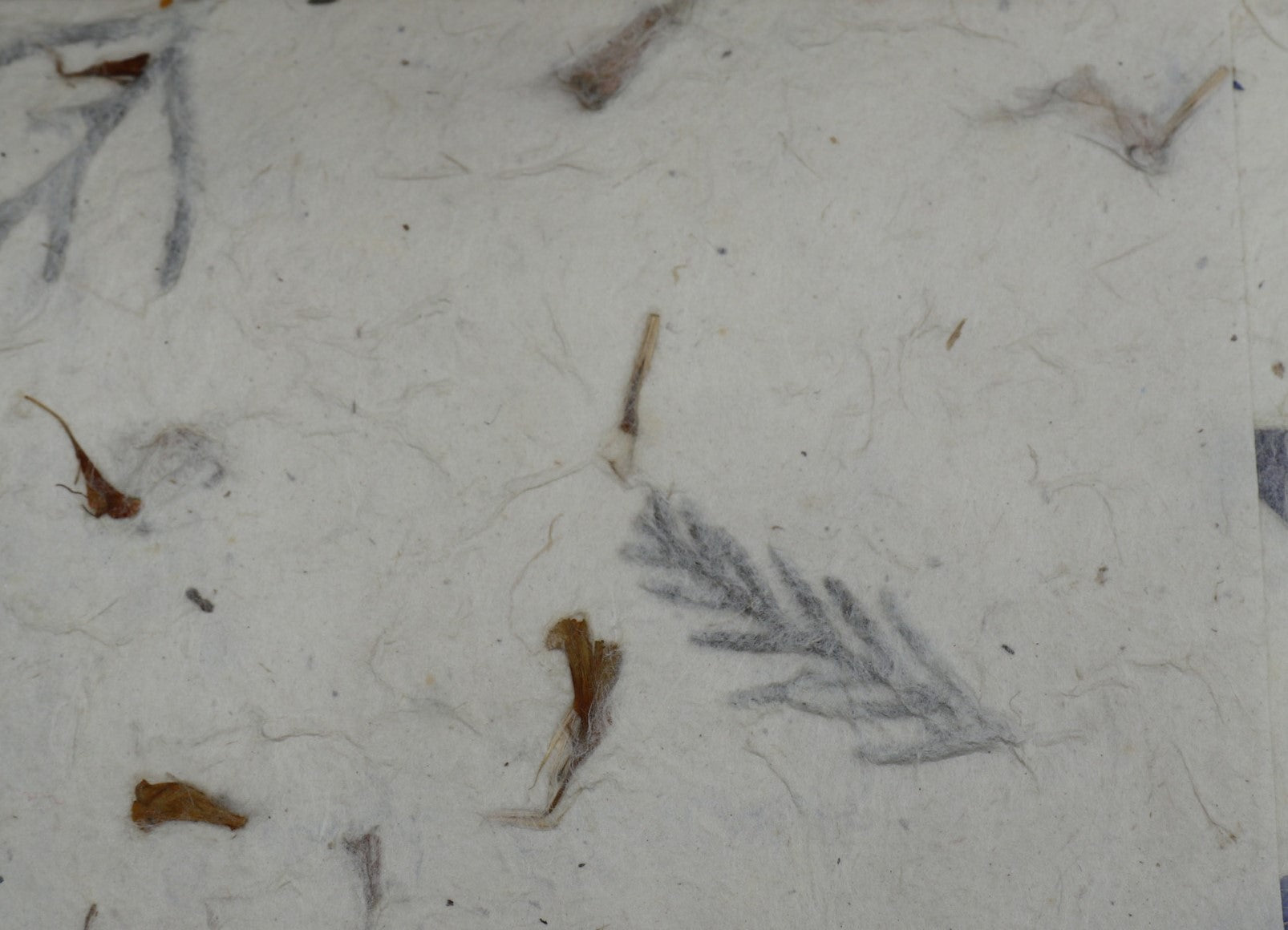 Tibetan Paper & Handicraft - Lokta Paper - Flower/Seeds - 20x30" - Art Noise Tibetan Paper & Handicraft - Lokta Paper - Flower/Seeds - 20x30" Tibetan Paper & Handicraft Paper Sheets art-noise.myshopify.com tibetan-paper-handicraft-lokta-paper-flower-seeds-20x30