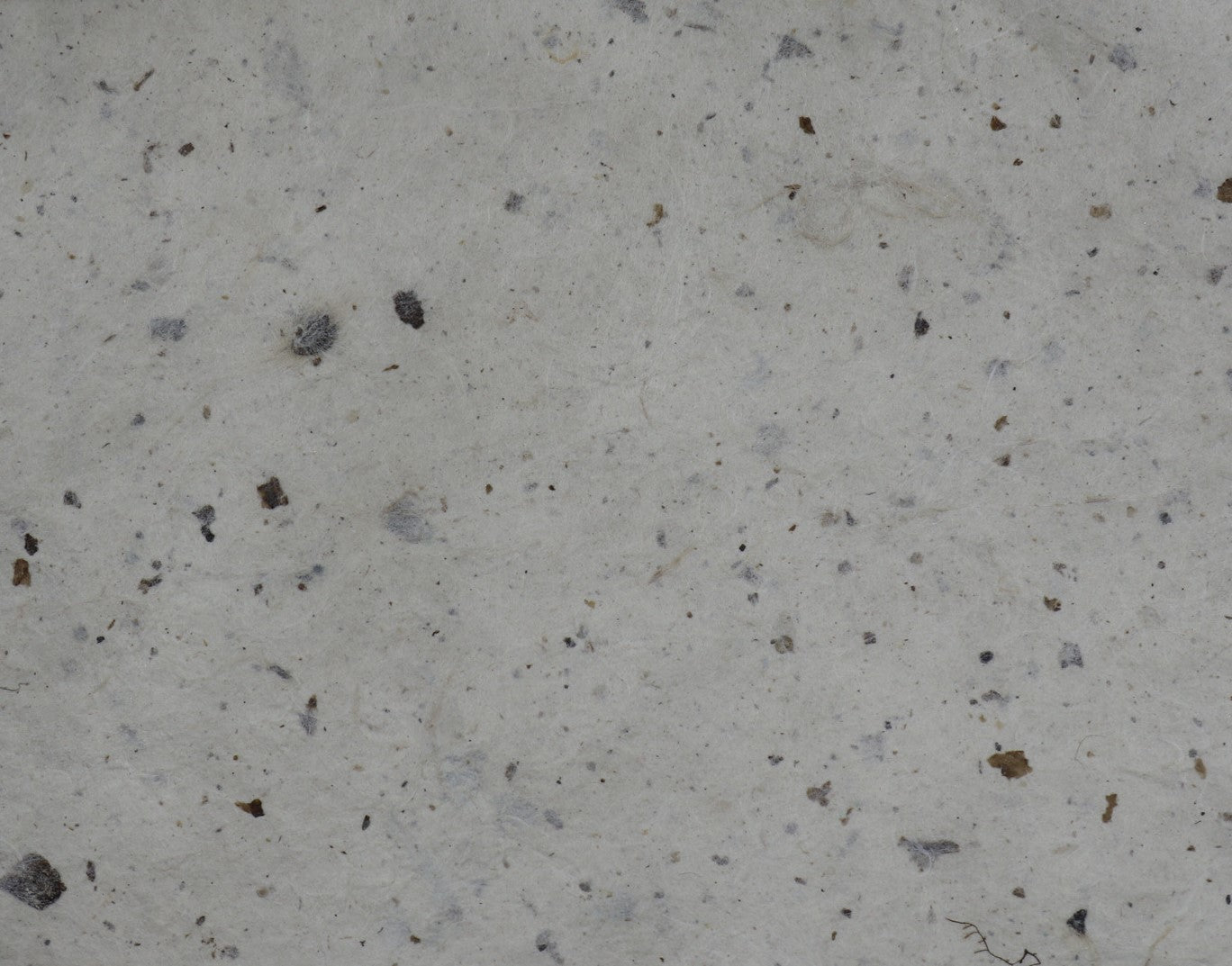 Tibetan Paper & Handicraft - Lokta Paper - Flower/Seeds - 20x30" - Art Noise Tibetan Paper & Handicraft - Lokta Paper - Flower/Seeds - 20x30" Tibetan Paper & Handicraft Paper Sheets art-noise.myshopify.com tibetan-paper-handicraft-lokta-paper-flower-seeds-20x30