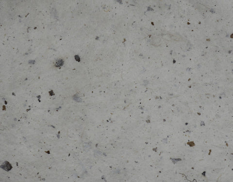 Tibetan Paper & Handicraft - Lokta Paper - Flower/Seeds - 20x30" - Art Noise Tibetan Paper & Handicraft - Lokta Paper - Flower/Seeds - 20x30" Tibetan Paper & Handicraft Paper Sheets art-noise.myshopify.com tibetan-paper-handicraft-lokta-paper-flower-seeds-20x30