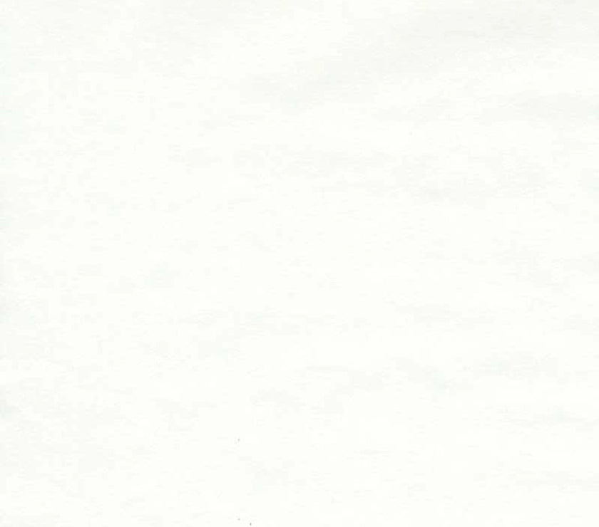 Japanese Paper - Tomoe River Cream - Individual Sheets - Art Noise