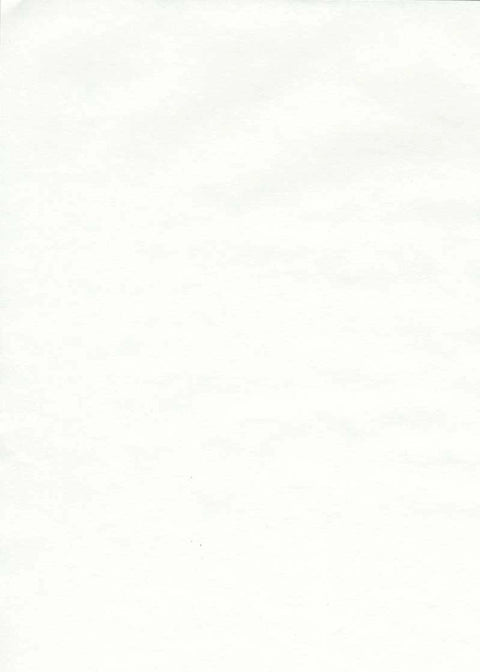 Japanese Paper - Tomoe River Cream - Individual Sheets - Art Noise