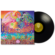 The Incredible String Band - The 500 Spirits or the Layers of the Onion (LP) - Art Noise