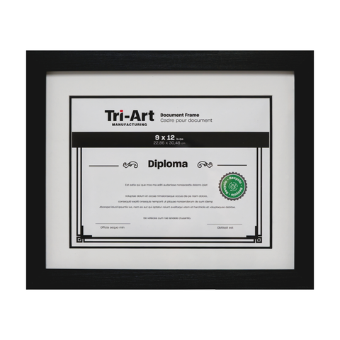 Diploma Frames - Art Noise