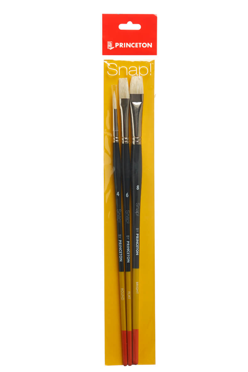 Princeton - Snap! Natural Bristle - Long Handle - Set of 3 - Art Noise