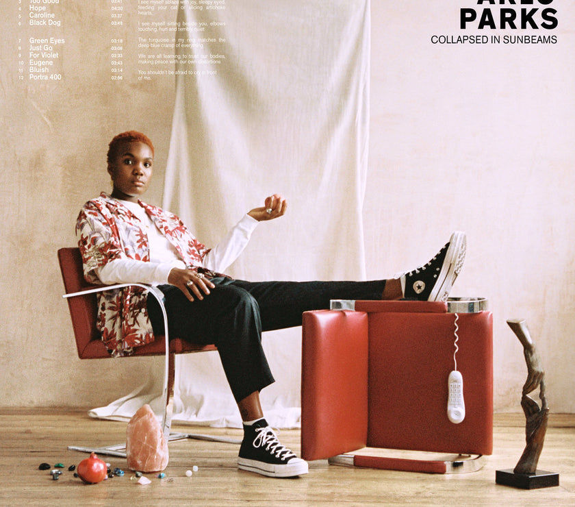 Arlo Parks - Collapsed in Sunbeams (LP) - Art Noise