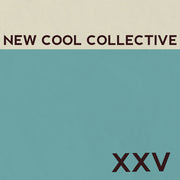 New Cool Collective/XXV - Art Noise