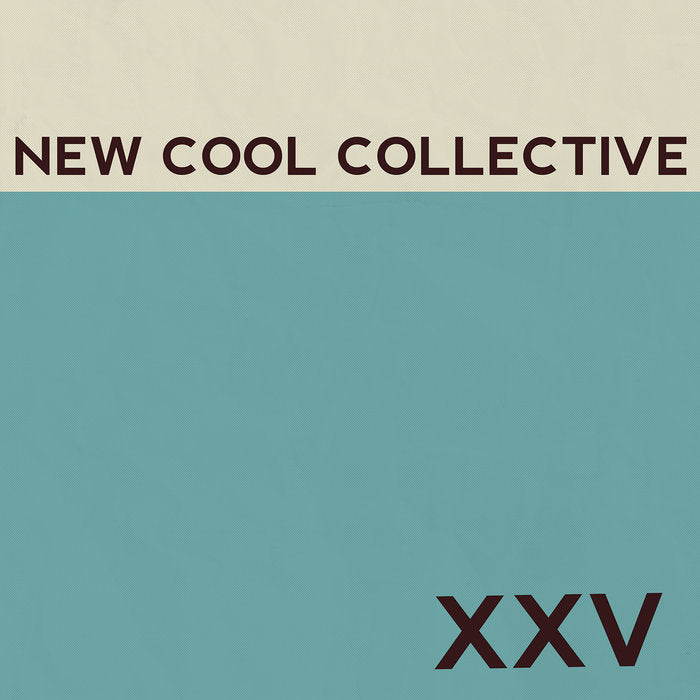 New Cool Collective/XXV - Art Noise