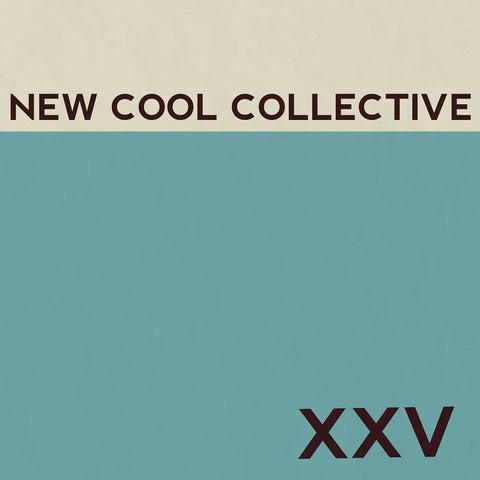 New Cool Collective/XXV - Art Noise