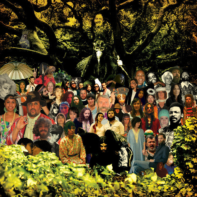 Devendra Banhart - Cripple Crow (LP) - Art Noise