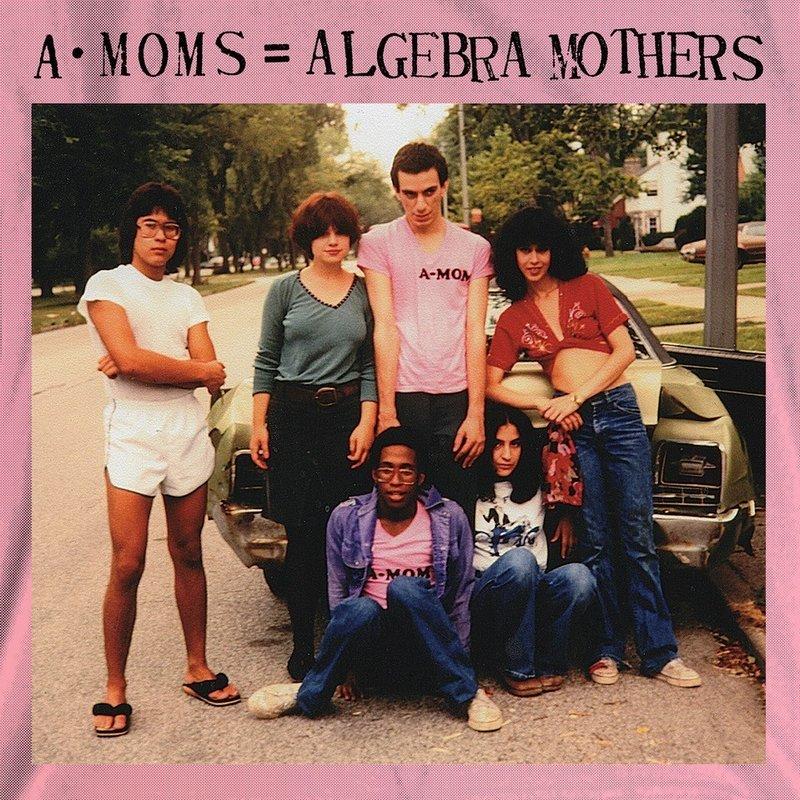 Algebra Mothers - A-Mom's = Algebra Mothers (4576182927447)