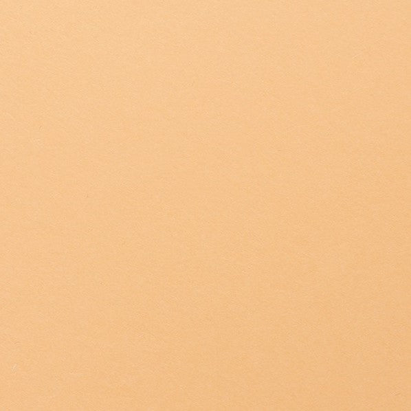 Clairefontaine - Maya Cardstock 120lb Paper - 8¼x11¾" - Art Noise
