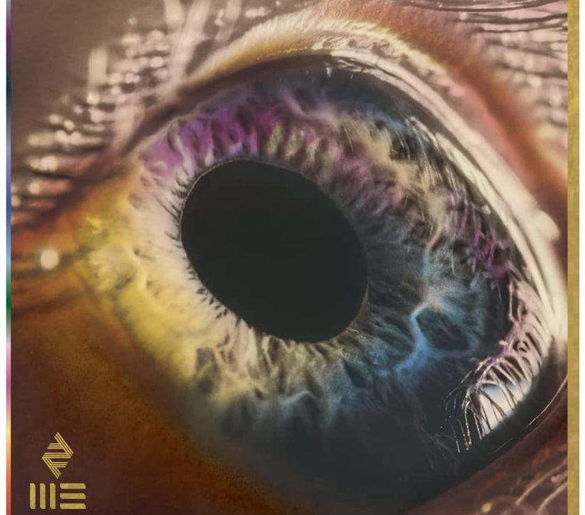 Arcade Fire – We (LP) - Art Noise